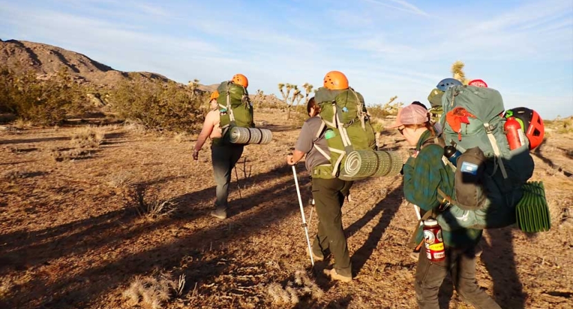 Three people carrying backpacks hike away from the camera in a desert environment. 